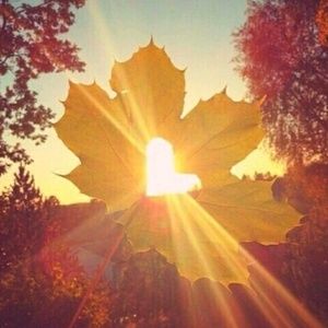 Meet your Posher, Kari